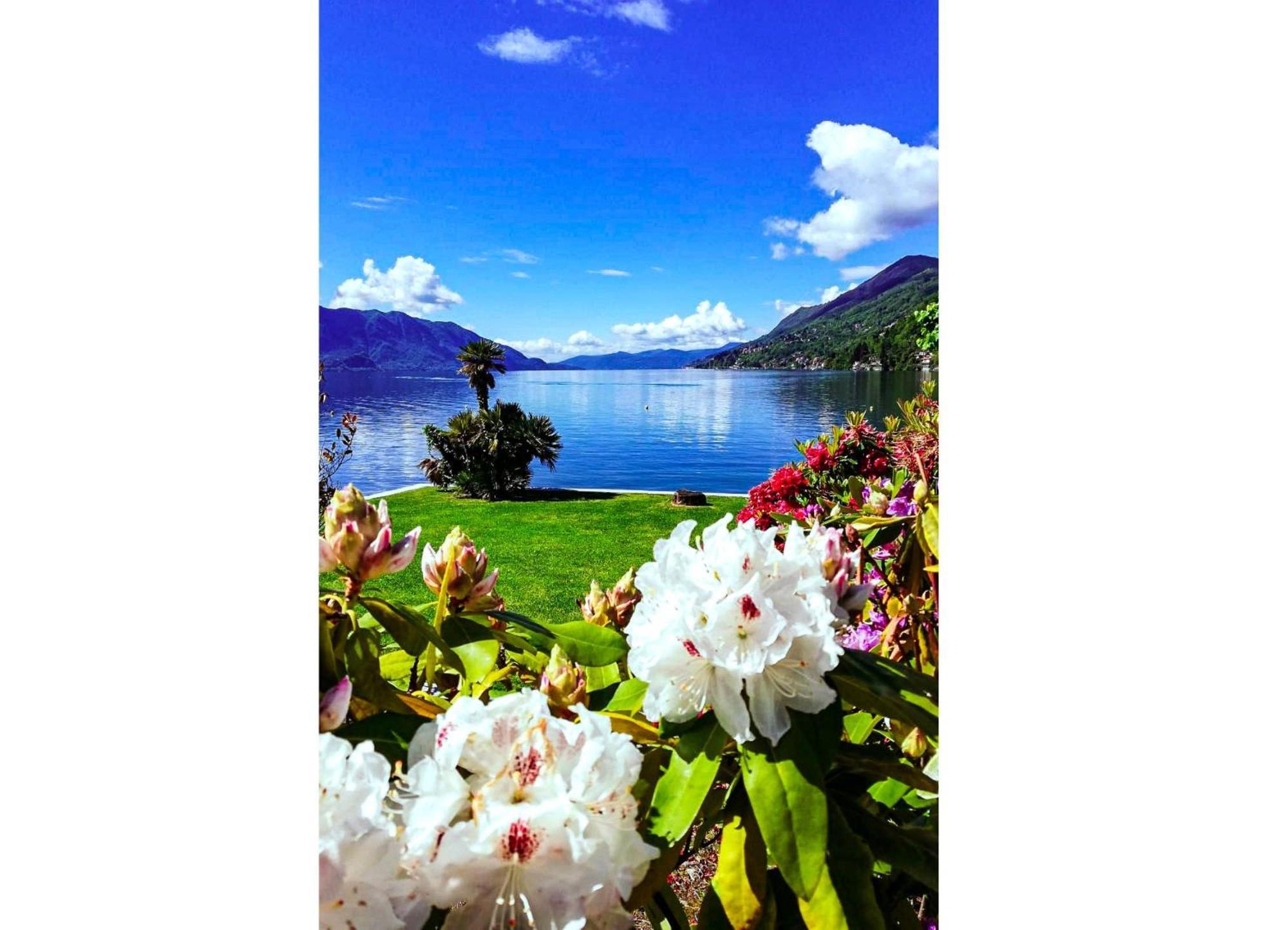 Appartamento Elegante Cannero Riviera Exteriör bild